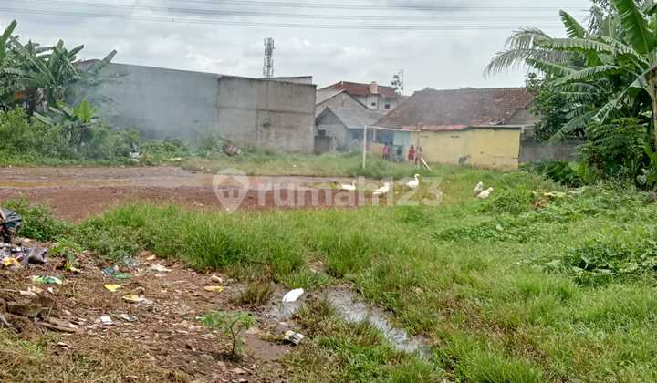 Kavling di Waringinjaya Bojong Gede, Kabupaten Bogor, Jawa Barat Kavling di Waringinjaya Bojong Gede, Kabupaten Bogor, Jawa Barat