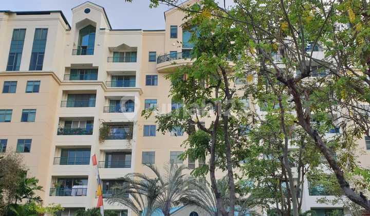 Disewakan Apartemen Pasadenia 2 Kamar Tidur  1