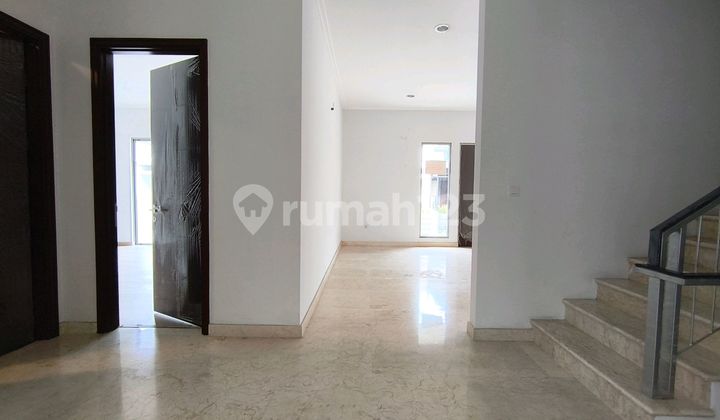 Cluster Serenade, Uk.12x20 2