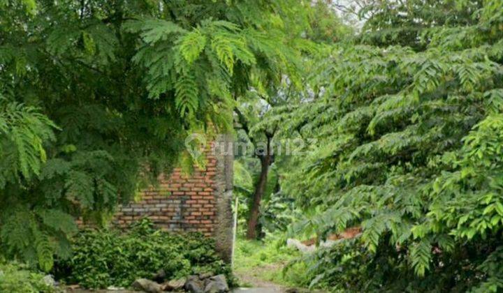 Dijual Tanah Ciluar Samping Pomad 3