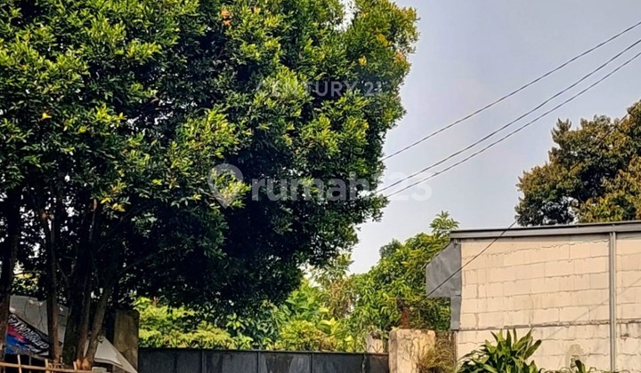 Tanah Jl Pamegarsari Parung Kab Bogor Tanah Jl Pamegarsari Parung Kab Bogor