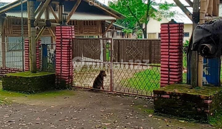 Land with Bonus House in Sukaluyu, Cianjur, West Java Land with Bonus House in Sukaluyu, Cianjur, West Java