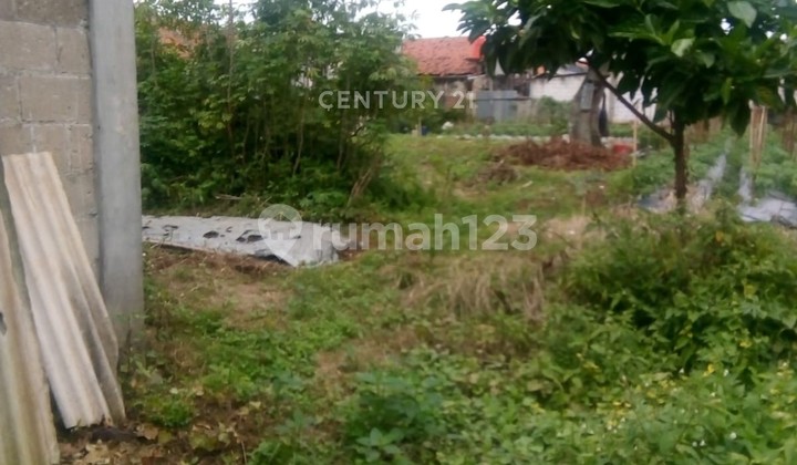 Tanah Lokasi Strategis Jl Mesjid Villa Pinang Mini Tanah Lokasi Strategis Jl Mesjid Villa Pinang Mini