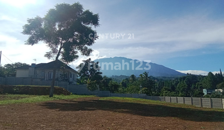 Kavling Area Villa di Pasir Muncang Sukamanah Megamendung Bogor