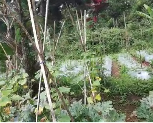 Land in Kutawaringin Mande Cianjur Village Land in Kutawaringin Mande Cianjur Village