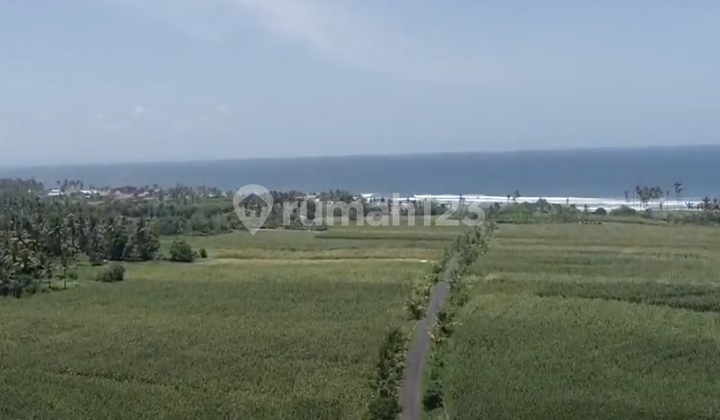 Disewakan Tanah Di Pantai Beraban Selemadeg Tabanan Bali 2