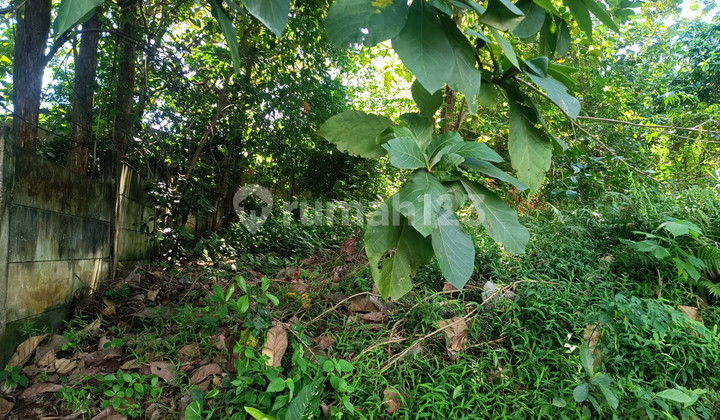 Kavling Premium Jl. Tinjomoyo Jatingaleh Selangkah Unika Semarang 2