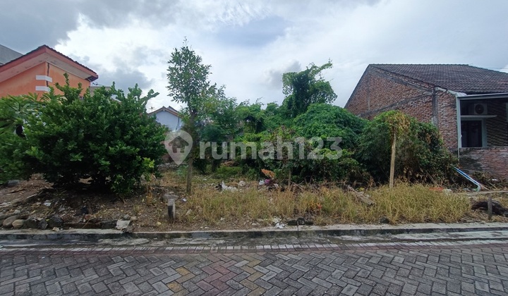 Kavling Lokasi Strategis Perum Kini Jaya Kedungmundu Tembalang 1