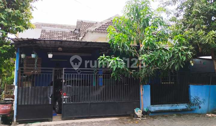 Griya Arteri Tlogosari Semarang Rumah Masih Bagus Siap Pakai 1