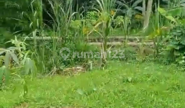 Tanah Perkebunan N Pertanian Limbangan Boja Harga Paling Ekonomis Tanah Perkebunan N Pertanian Limbangan Boja Harga Paling Ekonomis