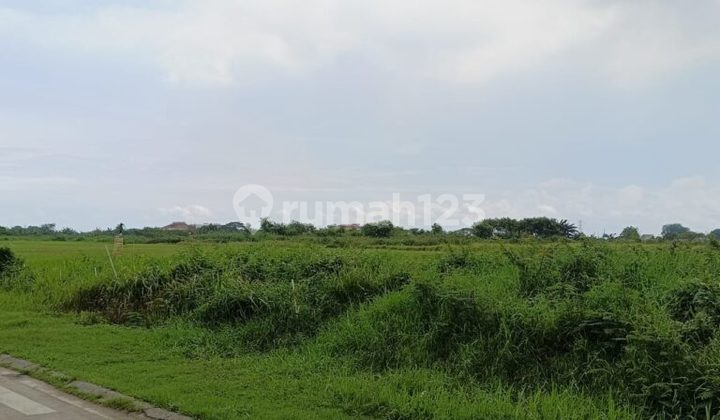 Tanah Kavling Komersial Siap Bangun Harapan Indah Bekasi Tanah Kavling Komersial Siap Bangun Harapan Indah Bekasi