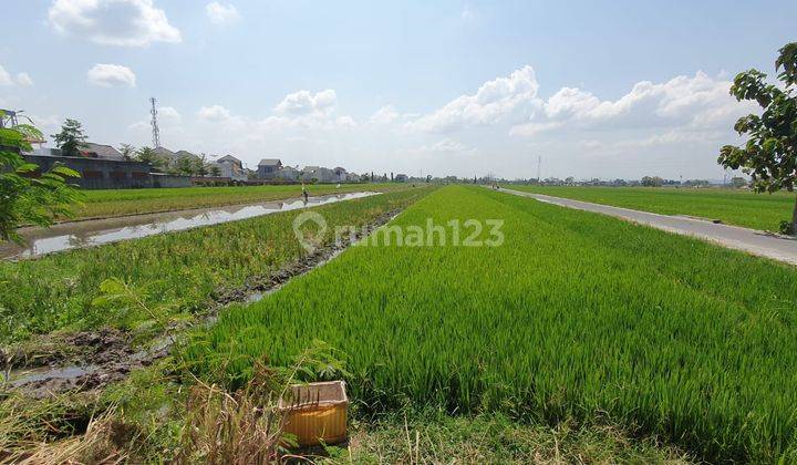 3 Tanah Sawah Cocok Untuk Perumahandekat Rsup Dr Soeradji Klaten Selatan