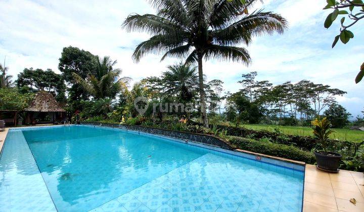 Villa Dan Resto Dengan Desain Tradisional Jawa View Sawah Daerah Wisata Magelang 1
