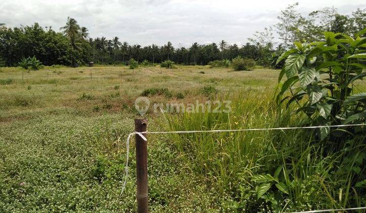 Tanah di Borobudur, Magelang 34.000 m² 2