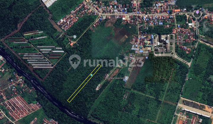 Peluang Investasi Besar, Tanah Sawah Produktif 13163 Meter Persegi Di Sungai Ambawang, Kubu Raya, Kalbar