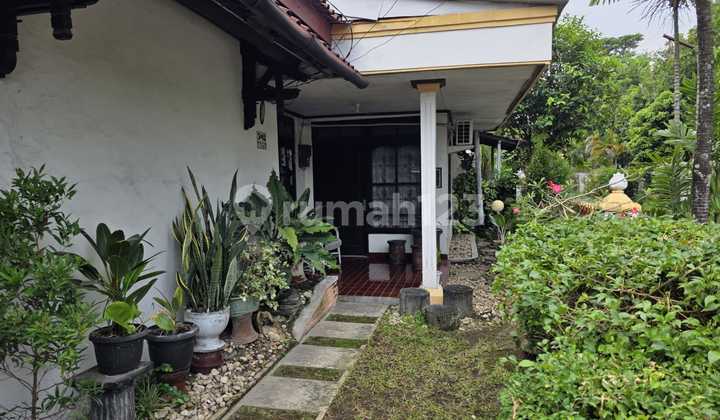 Rumah Strategis di Belakang Ambarukmo Plaza Investasi Menguntungkan, Caturtunggal, Depok, Sleman 2