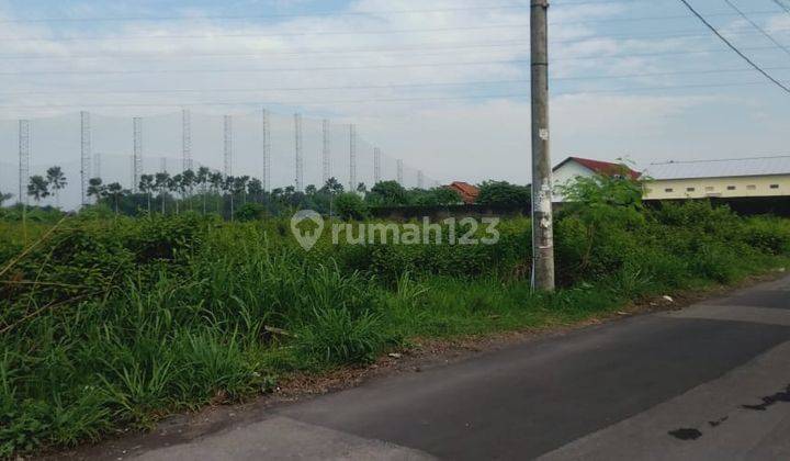 Tanah Sawah Luas 1800 Meter Persegi Lokasi Jl Sinduadi Mlati Sleman 1