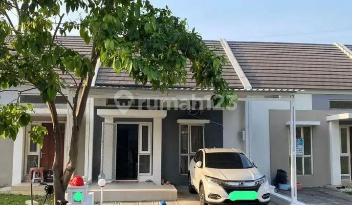 Rumah Cantik 1 Lt (6x17) di Bayu Suvarna Sutera Tangerang 1K900050 Rumah Cantik 1 Lt (6x17) di Bayu Suvarna Sutera Tangerang 1K900050