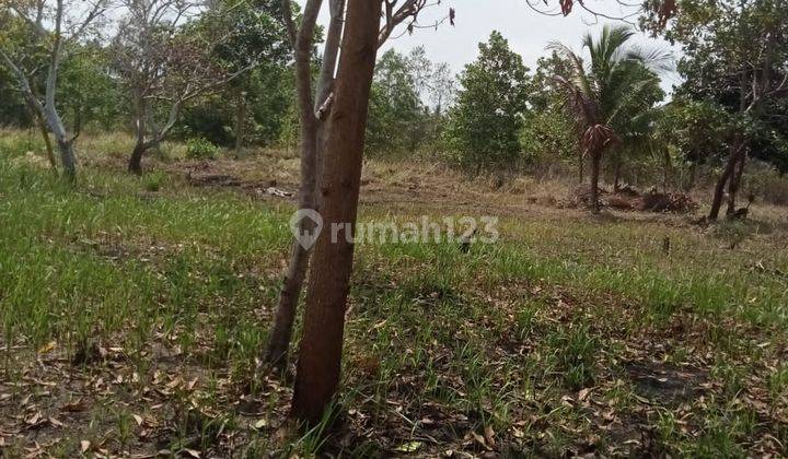 Dijual Tanah di Kepulauan Bangka, Limbang Jaya 1