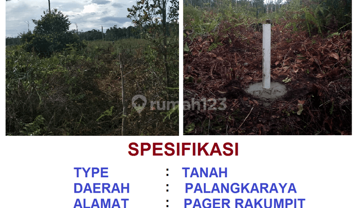 Tanah di Rakumpit Palangkaraya, Palangkaraya 60.000 m² 6