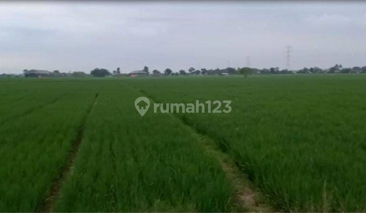 Tanah di Sukatani Sukahurip Bekasi, Bekasi SHM 100.000 m² 3