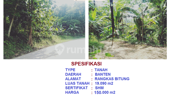 di jual Tanah luas 2 hektar harga murah Jl Kaduagung Rangkas Bitung Lebak Banten