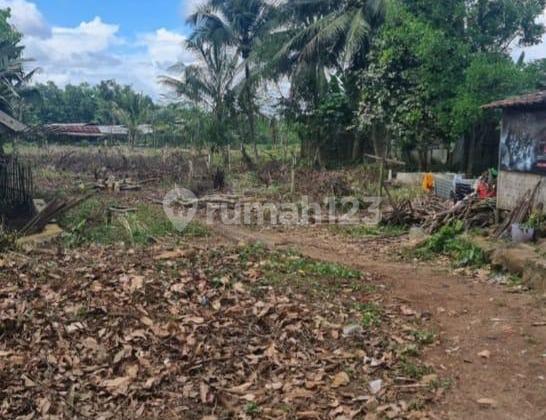 di Jual Tanah di Jl Raya Sampay, Lebak SHM 14.253 m² 2