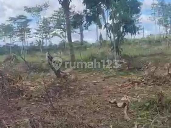 di Jual Tanah di Jl Raya Sampay, Lebak SHM 14.253 m² 4