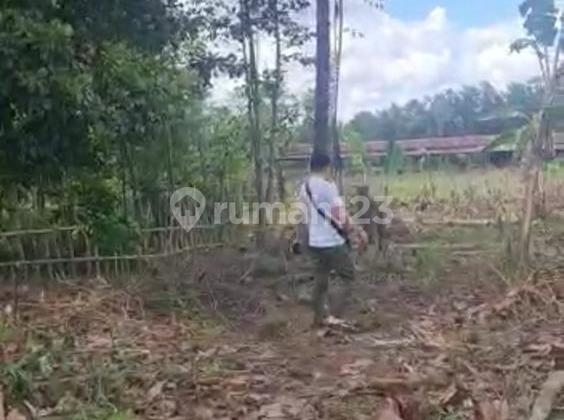 di Jual Tanah di Jl Raya Sampay, Lebak SHM 14.253 m² 6