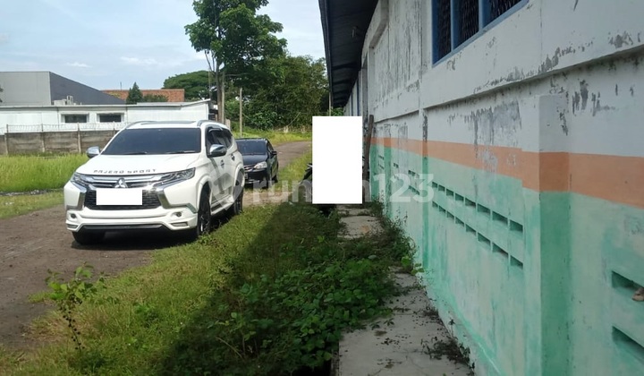 di Jual Pabrik 5 Hektar Citeras Lebak Banten SHM 2