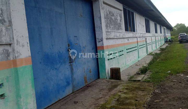 di Jual Pabrik 5 Hektar Citeras Lebak Banten SHM 5