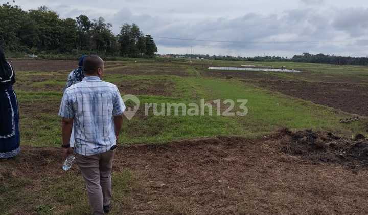sell Land 8000 square meters Pamarayan Serang Banten sell Land 8000 square meters Pamarayan Serang Banten
