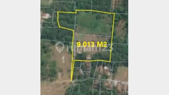 di jual Tanah luas 9013 meter surat SHM Cikeusal Serang banten - Ryan