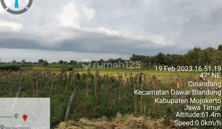 Dijual Tanah Cinandang Dawar Blandong Mojokerto Ron.a609 3