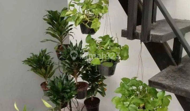 Dijual Rumah Green Semanggi Mangrove Econtus Rungkut Surabaya Ron.a798 8