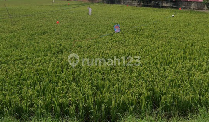 Tanah Kavling Babelan Marunda 10000M