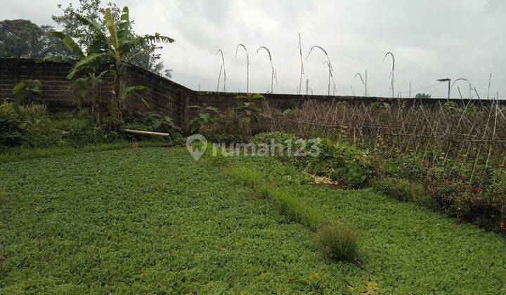 Dijual Tanah Kebun produktif di Ciawi Bogor 1