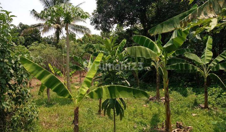 Dijual Tanah  di Ciseeng Bogor 1