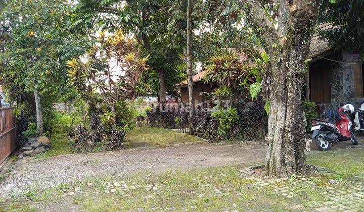 Villa Rumah Joglo di Area Ciomas Dramaga Bogor
 1