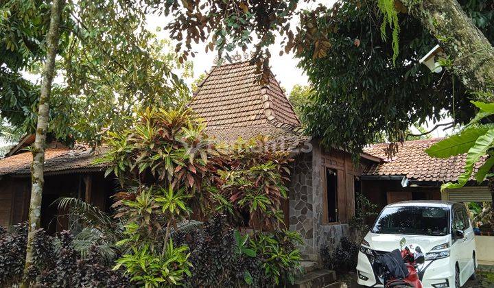 Villa Rumah Joglo di Area Ciomas Dramaga Bogor
 2