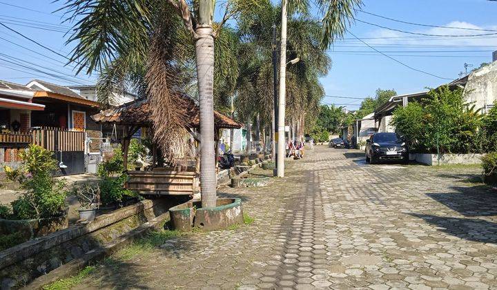 Rumah Asri Siap Huni Di Ciomas 2