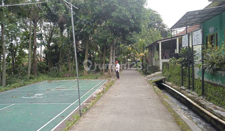 Tanah Kebun di Ciomas Bogor 2