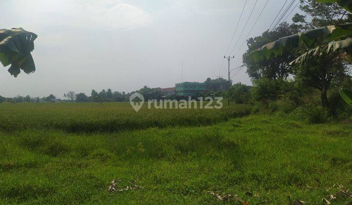 Tanah Dijual Murah Di Jl Raya Kronjo Desa Pasilian Kab. Tangerang 1