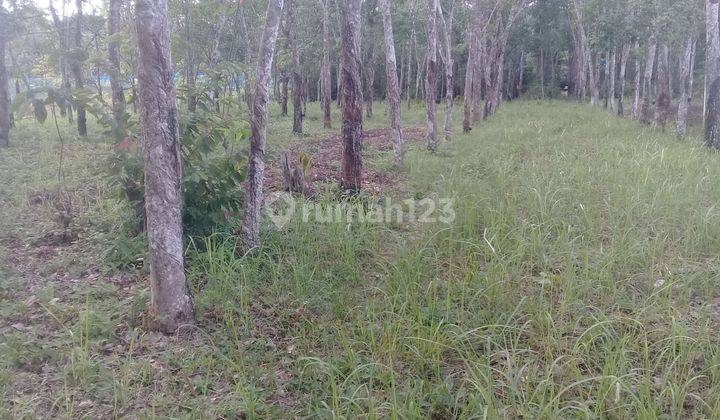 Tanah murah di jl jend.sudirman prabumulih sumatera selatan 6
