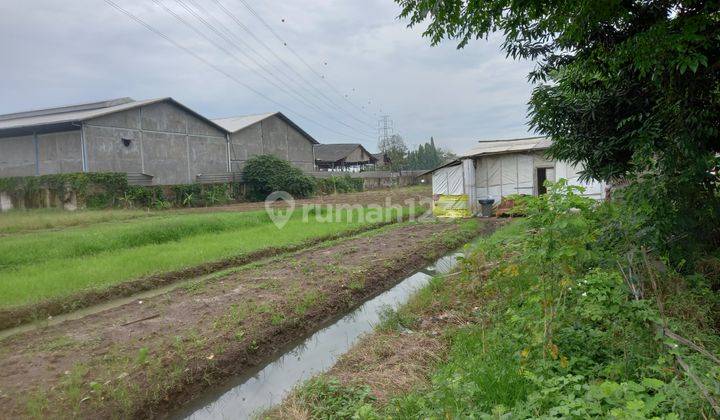 Tanah dijual sangat murah di pakuhaji kabupaten tangerang 3