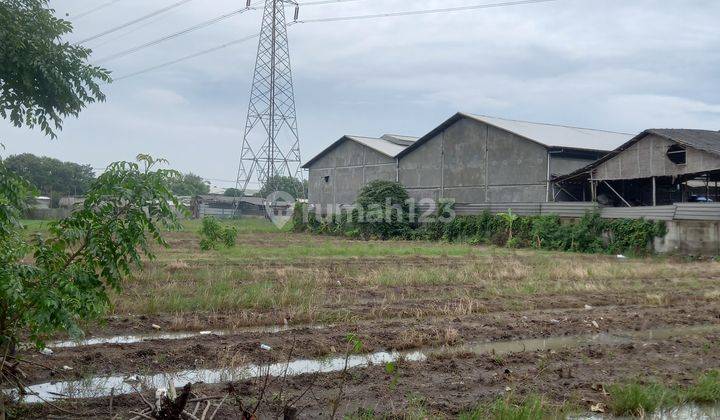 Tanah dijual sangat murah di pakuhaji kabupaten tangerang 8