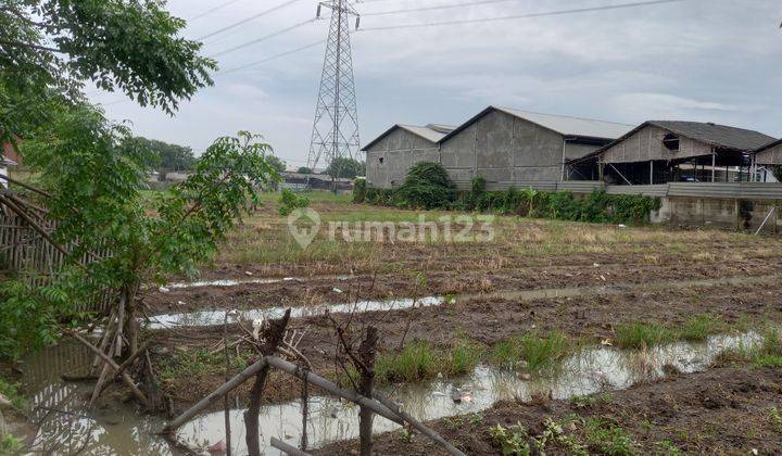 Tanah dijual sangat murah di pakuhaji kabupaten tangerang 9