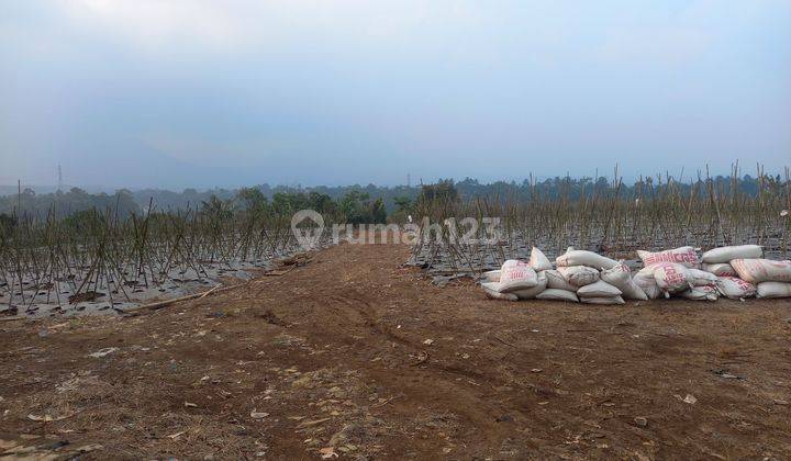 Tanah dijual di bojong genteng kabupaten sukabumi jawa barat 1