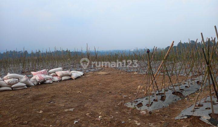 Tanah dijual di bojong genteng kabupaten sukabumi jawa barat 2