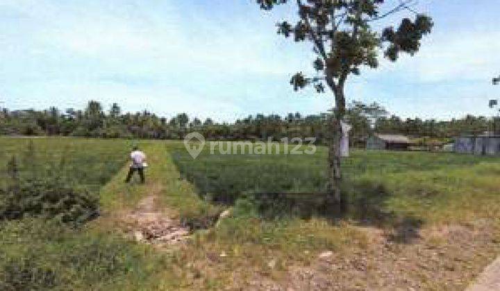 Tanah Dijual Murah Di Tanjung Lesung Panimbang Pandeglang Banten 2